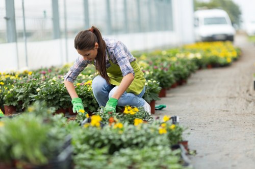 Landscapers Paddington creating a welcoming first impression in an outdoor space