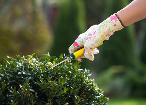 Professional garden waste collection and tidy-up in Paddington
