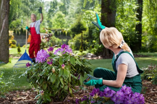 Landscaping team preparing for safe rubbish removal in Paddington