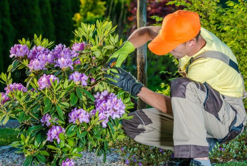Worker wearing PPE during Paddington landscaping cleanup