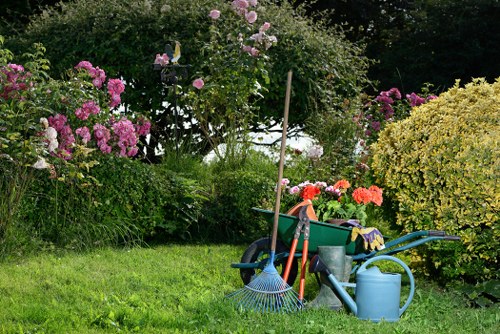 Stylish landscape gardening in Paddington with private, low-maintenance design