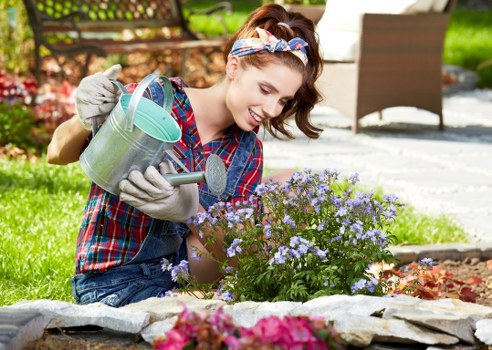 Professional garden maintenance in a Paddington residential garden