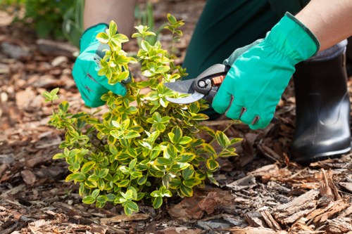 Insured rubbish company team handling garden waste removal