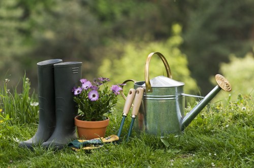 Seasonal garden maintenance for a well-kept Paddington property