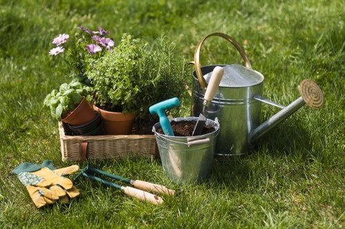 Low-maintenance planting for a Paddington terrace or shared garden
