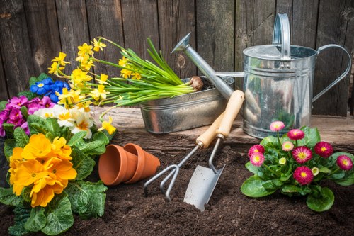 Healthy green lawn care in Paddington with neat mowing and edging