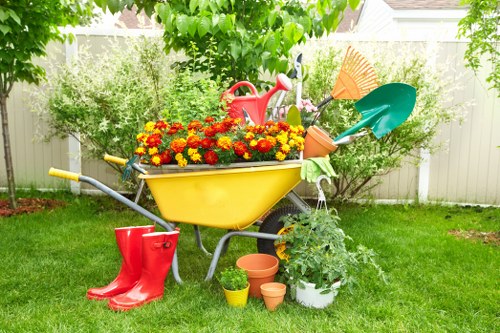 Seasonal lawn maintenance and watering for Paddington properties