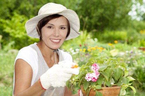 Pruning and shaping plants for urban garden upkeep in Paddington