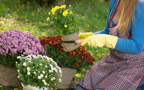 Annual compliance review for a Paddington landscaping business
