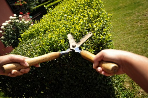 Landscapers Paddington delivering a polished and durable landscape design