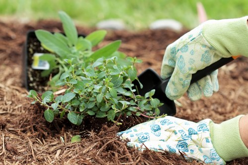 Eco-friendly garden clearance and green waste sorting in Paddington