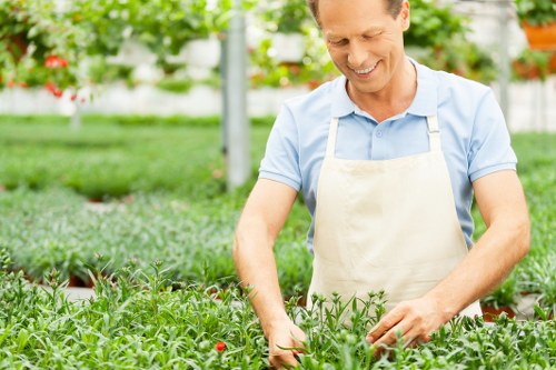 Professional Paddington landscapers shaping a balanced and attractive outdoor layout