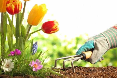 Paddington landscape gardeners improving a residential outdoor space