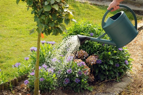 Screen-reader compatible web content for landscaping services