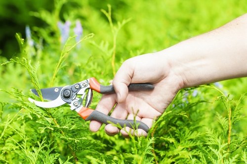Reusable garden materials prepared for recycling and donation