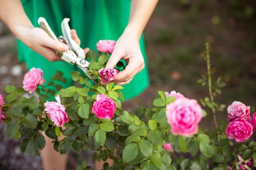 Free quote and cubic-yard pricing for local garden clearance