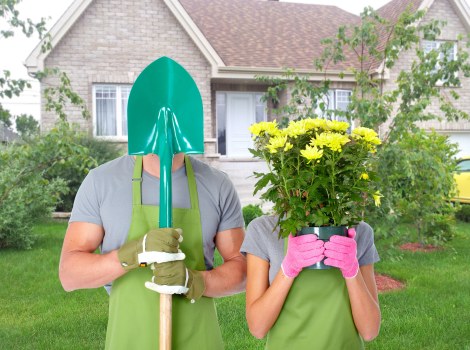 Lawn mowing and hedge trimming in a Paddington garden