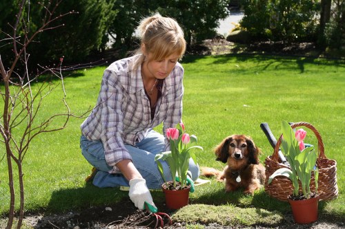 Written complaint resolution summary for landscapers