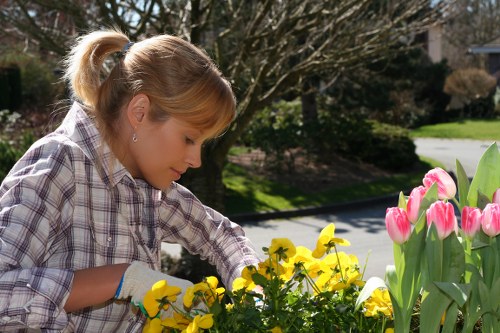 Low-carbon van used for sustainable landscaping collections
